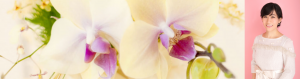 header01